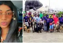 How Nigerians should turn up at polling units on March 11 – Queen Nwokoye hints