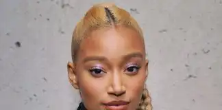 Amandla Stenberg Biography, Age, Boyfriend, Movies, Income, Salary, Net Worth, and Career