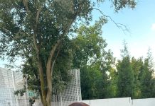 Dorathy meets Seyi for the first time after show, embarrasses him in public (Video) "The Holiday never do" Prince Nelson, Mercy Eke, Laycon, and other react as Dorathy Shows Off Her Quality Time In South Africa With New Pictures