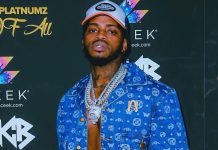 Diamond Platnumz Biography, Age, Wife, Songs, Album, Children, Girlfriend, Real Name, Tribe, Parents, Wikipedia, Mother House, Cars, Net Worth, and Career