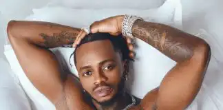 Diamond Platnumz Biography, Age, Wife, Songs, Album, Children, Girlfriend, Real Name, Tribe, Parents, Wikipedia, Mother House, Cars, Net Worth, and Career