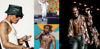 Wizkid, Burna Boy, Rema, others thrill fans at Afro Nation in US