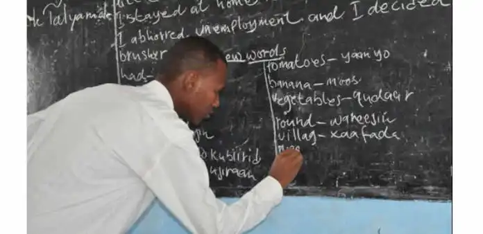 teacher