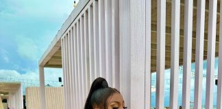 Apet Modella Causes Reactions