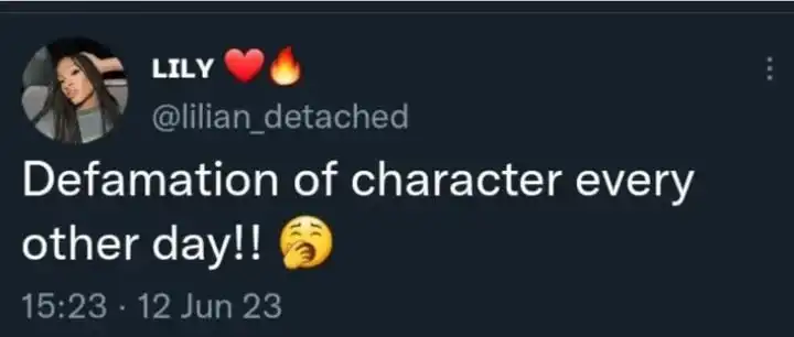 Defamation of character Groovys sister Lilian shades Phyna