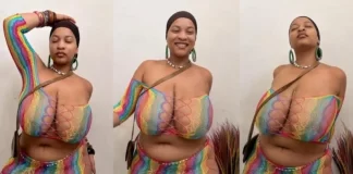 “Full Reserved Milky Industry” – Reactions As Curvy Lady In Skin-Tight Dresses Tension Social Media [Watch]