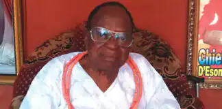 Chief David Edebiri