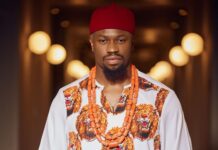 Stan Nze Biography, Age, First Wife, Movies, Children, State Of Origin, Siblings, Net Worth, and Career