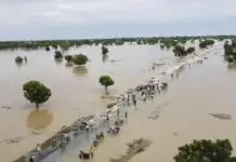 Heavy flood looms in Nigeria as Cameroon set to dam