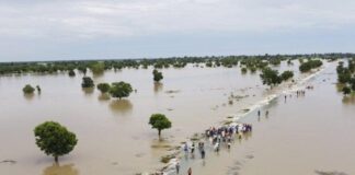 Heavy flood looms in Nigeria as Cameroon set to dam