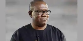 Peter Obi will be declared president very soon - LP