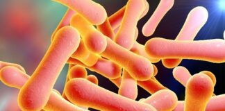 “Only 22% Of Diphtheria Victims In Nigeria Received Childhood Immunisations” — UNICEF Only 22% Of Diphtheria Victims In Nigeria Received Childhood Immunisations - UNICEF