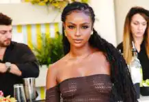 Justine Skye Biography, Age, Songs, Albums, Parents, Husband, House, Height, Movies, TV Shows, Net Worth, and Career