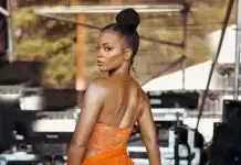 Ari Lennox Biography, Age, Songs, Albums, Husband, Twitter, Baby Daddy, Instagram, Tour, Net Worth, and Career