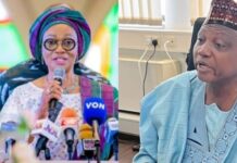 Buhari brought Nigeria’s economy out of crisis – Garba Shehu tackles Tinubu’s wife