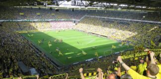 The Power of Teamwork: Lessons from the World of Sports