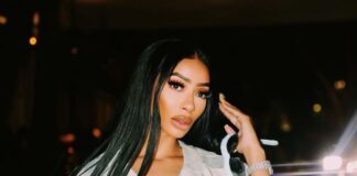 Tommie Lee Biography, Age, Daughter, Kids, Husband, House, Real Name, Net Worth, and Career