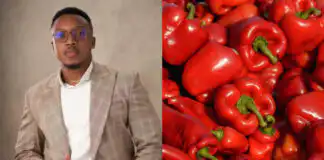 Aproko Doctor