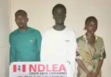 Drama As NDLEA Raids Osun Illicit Drug Party Tagged ‘Unholy Alliance’, Arrests Organisers