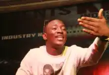 dammy krane