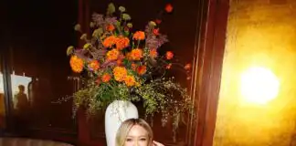 Hilary Duff Biography, Age, Husband, Kids, Songs, Movies, TV Shows, Net Worth, and Career