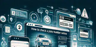 How to Check a Plate Number Online: Important Tips & Guidelines