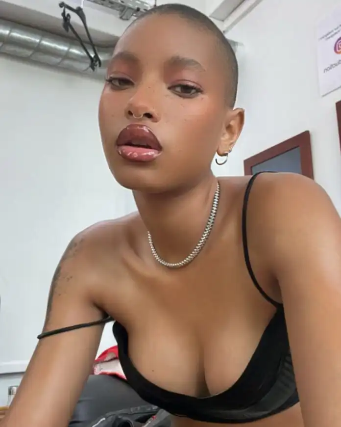 Willow Smith Biography, Age, Songs, Parents, News, Videos, Movies, TV Shows, Net Worth, and Career Willow Smith Biography, Age, Songs, Parents, News, Videos, Movies, TV Shows, Net Worth, and Career