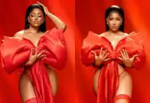Phyna breaks the internet as she uploads racy Valentine's Day photographs and a deep message to the singles