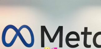 Taaooma reacts after getting dragged over photo with Mr Macaroni, Brother Shaggi