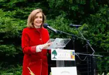Nancy Pelosi Biography, Age, Wedding Pictures, Husband, Children, Breaking News, Retirement, Instagram, Net Worth, and Political Career
