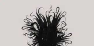 Bloody Civilian Biography, Age, Tribe, Songs, Parents, Siblings, Wikipedia, Net Worth