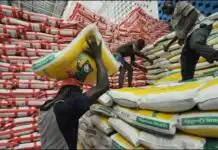 JUST IN: Tragedy as University students die after looting rice
