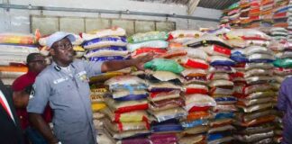 JUST IN: Customs begins sale of seized food stuffs