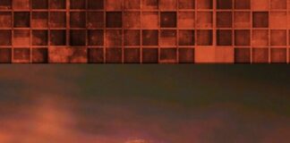 Tems stuns many with her performance