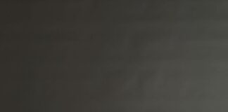 Salle clears the Air, says "I was not hawking before my video went viral"