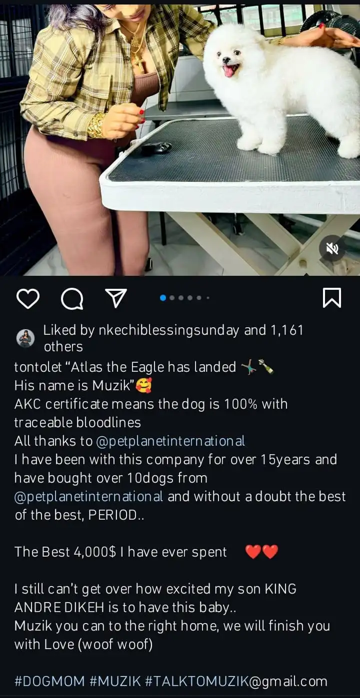 Tonto Dikeh buys dog worth N6million amid car debt allegations 1 It is the best 4000 I have spent Tonto Dikeh says as she takes delivery of her dog Kemi Filani blog min 1
