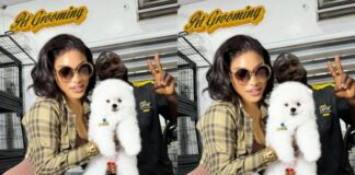 Tonto Dikeh buys dog worth N6million amid car debt allegations