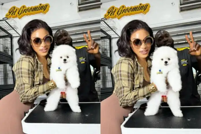 Tonto Dikeh buys dog worth N6million amid car debt allegations Tonto Dikeh buys dog worth N6million amid car debt allegations