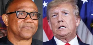 US election: Peter Obi is Nigerian version of Trump – Presidency