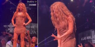 Shakira Abruptly Leaves Stage After Fans Attempt to Film Under Her Dress at Miami Concert