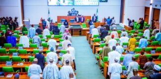 Lawmakers urge FG to utilize Nigeria’s allocated orbital slots to avoid $400 million loss