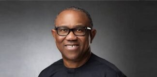 ‘Women not as corrupt as men’ – Peter Obi