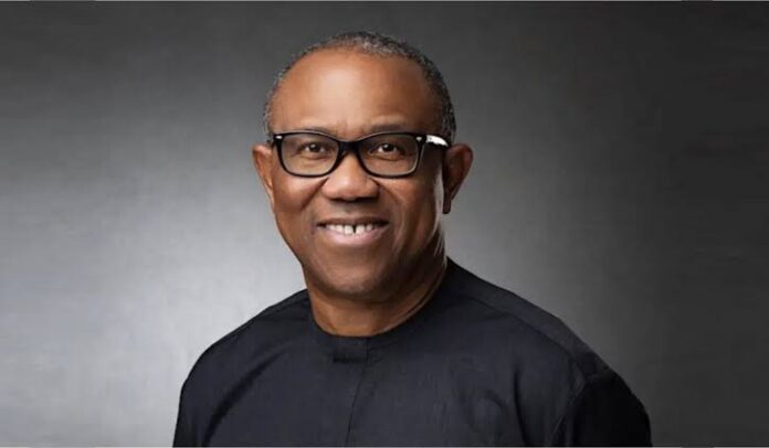 ‘Women not as corrupt as men’ – Peter Obi