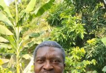 Kanayo O. Kanayo backs Davido on Nigeria’s economy comment