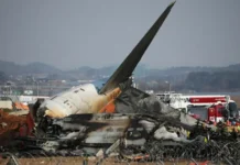 Plane carrying 181 passengers crashes in South Korea