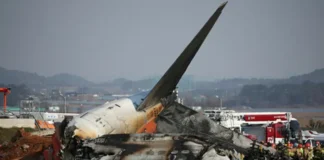 Plane carrying 181 passengers crashes in South Korea