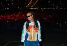 Elaine stuns fans with surprise performance at Chris Brown's FNB Stadium concert