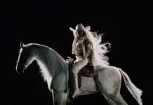 Beyoncé Drops Cryptic Hint About Massive Announcement Following Show-Stopping NFL Christmas Halftime Performance