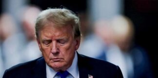 Donald Trump to pay $5M after losing appeal in E. Jean Carroll sexual abuse case