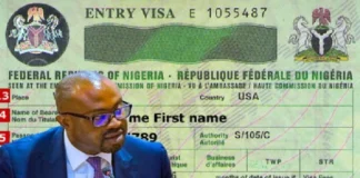 Nigeria Upgrades Visa-on-Arrival Policy, Says Minister of Interior